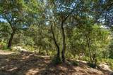 298 Agua Caliente Road - Photo 68