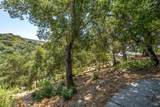 298 Agua Caliente Road - Photo 71