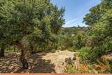 298 Agua Caliente Road - Photo 86