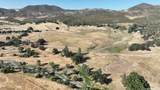 22629 Jerusalem Grade Road - Photo 10