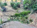 9007 Stewarts Point Skaggs Springs Road - Photo 10