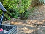 9007 Stewarts Point Skaggs Springs Road - Photo 11