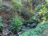 9007 Stewarts Point Skaggs Springs Road - Photo 12