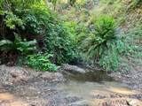 9007 Stewarts Point Skaggs Springs Road - Photo 13