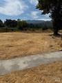 22751 Oak Lane - Photo 10