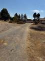22751 Oak Lane - Photo 9
