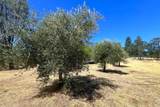 17277 Butts Canyon Road - Photo 29