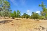 17277 Butts Canyon Road - Photo 30
