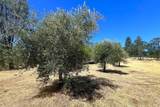 17277 Butts Canyon Road - Photo 31