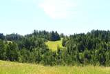 31010 Stewarts Point-Skaggs Springs Road - Photo 10