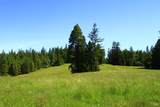 31010 Stewarts Point-Skaggs Springs Road - Photo 12