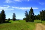 31010 Stewarts Point-Skaggs Springs Road - Photo 14