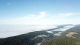 31010 Stewarts Point-Skaggs Springs Road - Photo 18