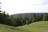 31010 Stewarts Point-Skaggs Springs Road - Photo 19