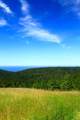 31010 Stewarts Point-Skaggs Springs Road - Photo 23