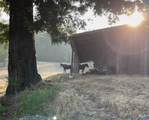 31010 Stewarts Point-Skaggs Springs Road - Photo 25