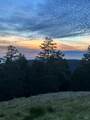 31010 Stewarts Point-Skaggs Springs Road - Photo 29