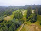 31010 Stewarts Point-Skaggs Springs Road - Photo 30