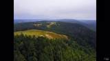 31010 Stewarts Point-Skaggs Springs Road - Photo 33