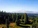 31010 Stewarts Point-Skaggs Springs Road - Photo 34