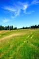 31010 Stewarts Point-Skaggs Springs Road - Photo 35