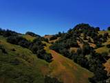 31010 Stewarts Point-Skaggs Springs Road - Photo 38