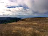 31010 Stewarts Point-Skaggs Springs Road - Photo 39