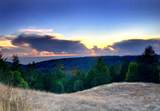 31010 Stewarts Point-Skaggs Springs Road - Photo 40