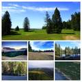 31010 Stewarts Point-Skaggs Springs Road - Photo 41