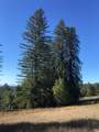 31010 Stewarts Point-Skaggs Springs Road - Photo 47