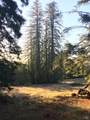 31010 Stewarts Point-Skaggs Springs Road - Photo 51