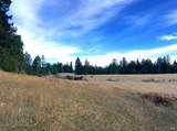 31010 Stewarts Point-Skaggs Springs Road - Photo 53