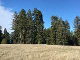 31010 Stewarts Point-Skaggs Springs Road - Photo 59