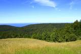 31010 Stewarts Point-Skaggs Springs Road - Photo 6