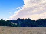 31010 Stewarts Point-Skaggs Springs Road - Photo 60