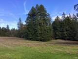 31010 Stewarts Point-Skaggs Springs Road - Photo 61