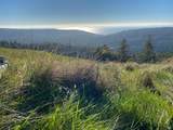 31010 Stewarts Point-Skaggs Springs Road - Photo 63