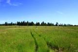 31010 Stewarts Point-Skaggs Springs Road - Photo 7