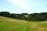 31010 Stewarts Point-Skaggs Springs Road - Photo 8