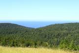 31010 Stewarts Point-Skaggs Springs Road - Photo 9