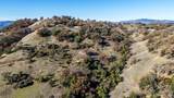 6681 Black Bart Trail - Photo 8