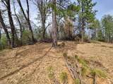 47700 Bentley Ridge Road - Photo 43