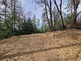 47700 Bentley Ridge Road - Photo 45