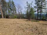 47700 Bentley Ridge Road - Photo 49