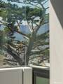 117 Telegraph Hill Boulevard - Photo 22