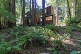 36419 Ridge Road - Photo 42