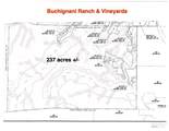 25845 Dutcher Creek Road - Photo 89