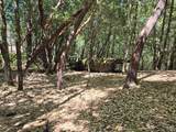 1686 Ponderosa Road - Photo 1