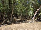 1686 Ponderosa Road - Photo 2