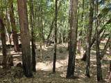 1694 Ponderosa Road - Photo 1